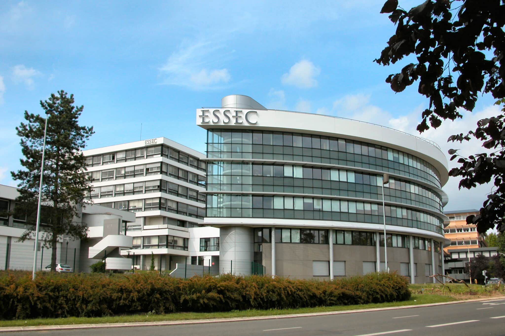 essec lance un portail de signalement des violences