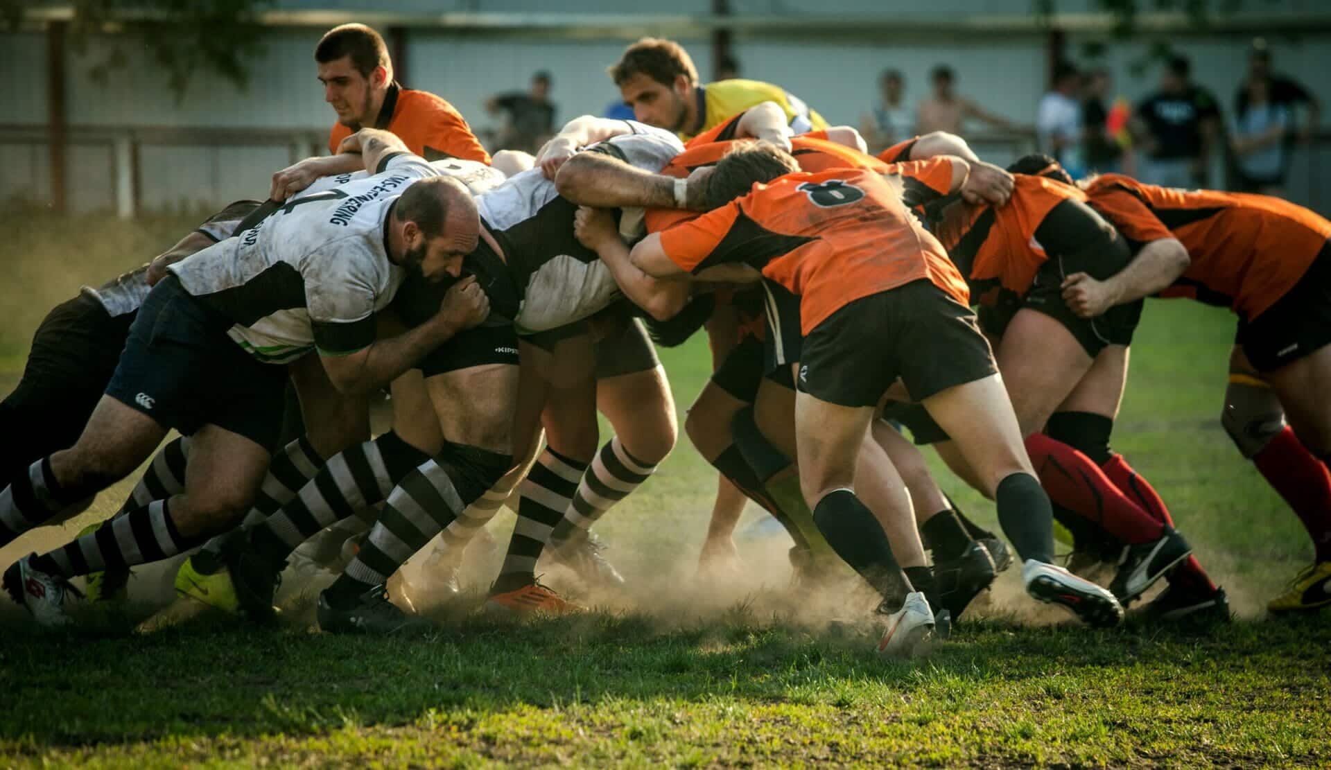 budget top 14