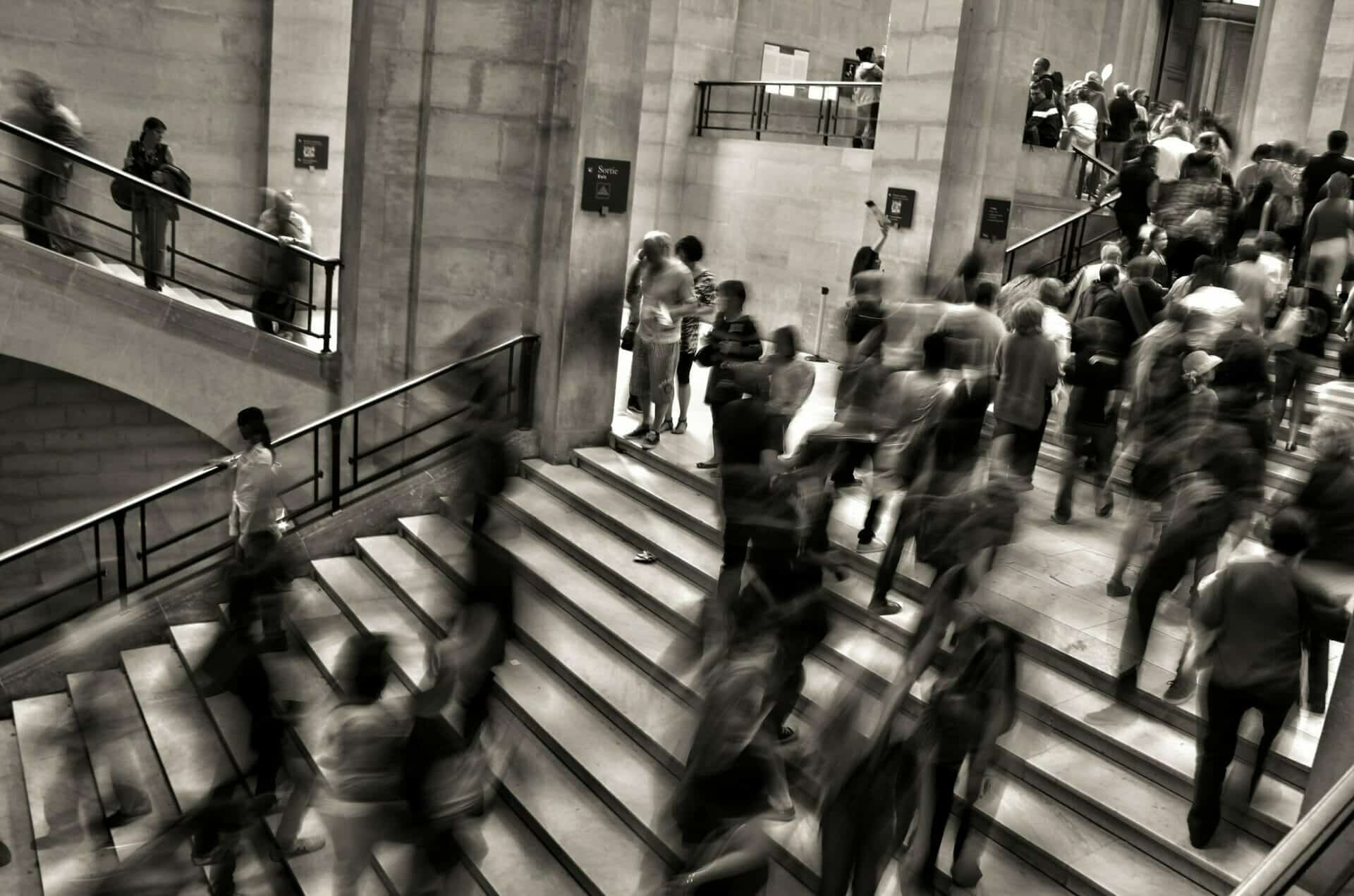 évolution école de commerce