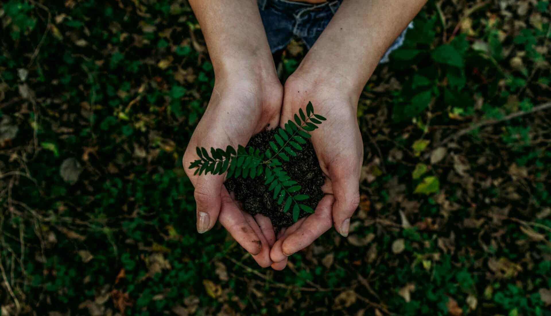 le développement durable BC100