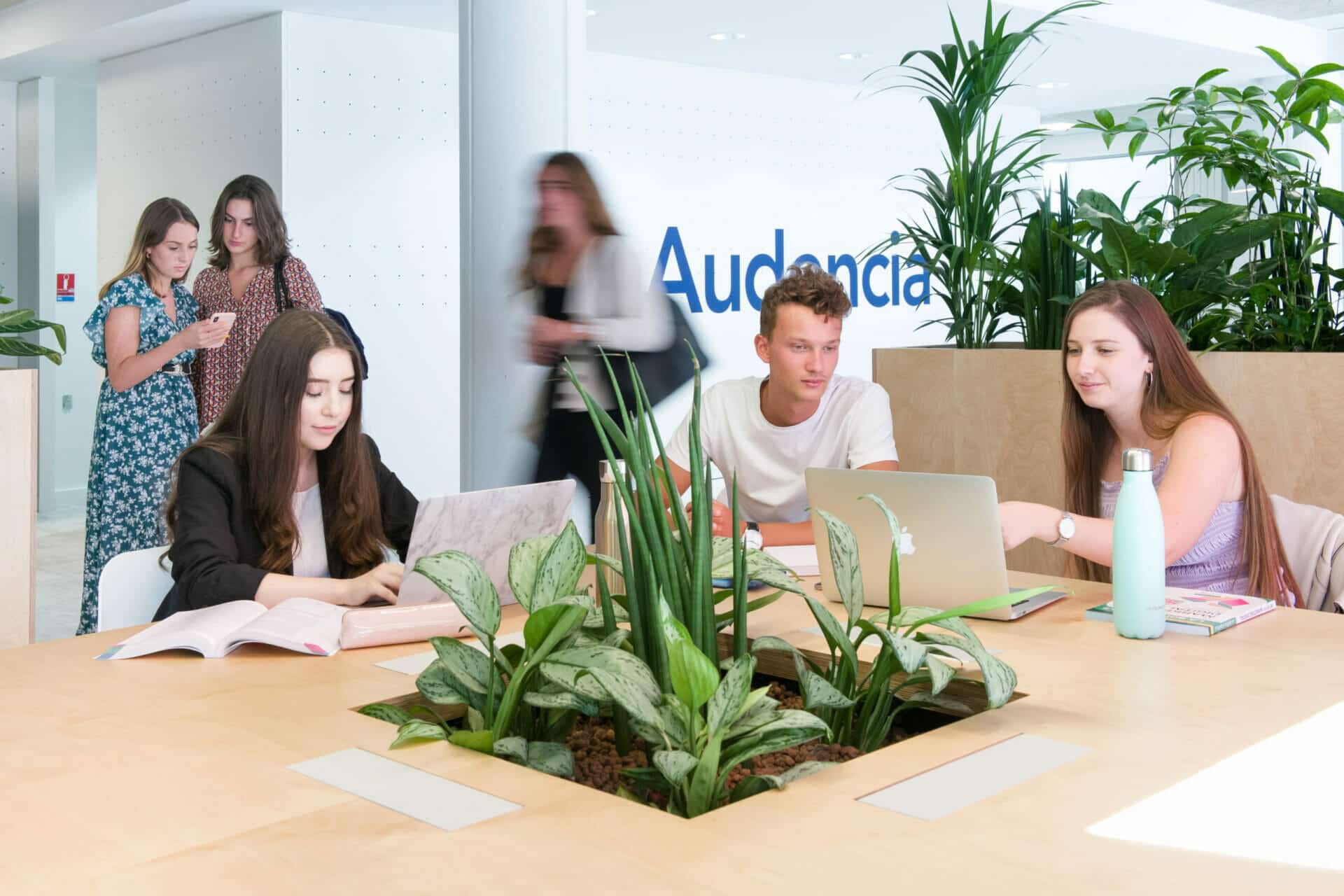 Audencia Centrale Nantes MS