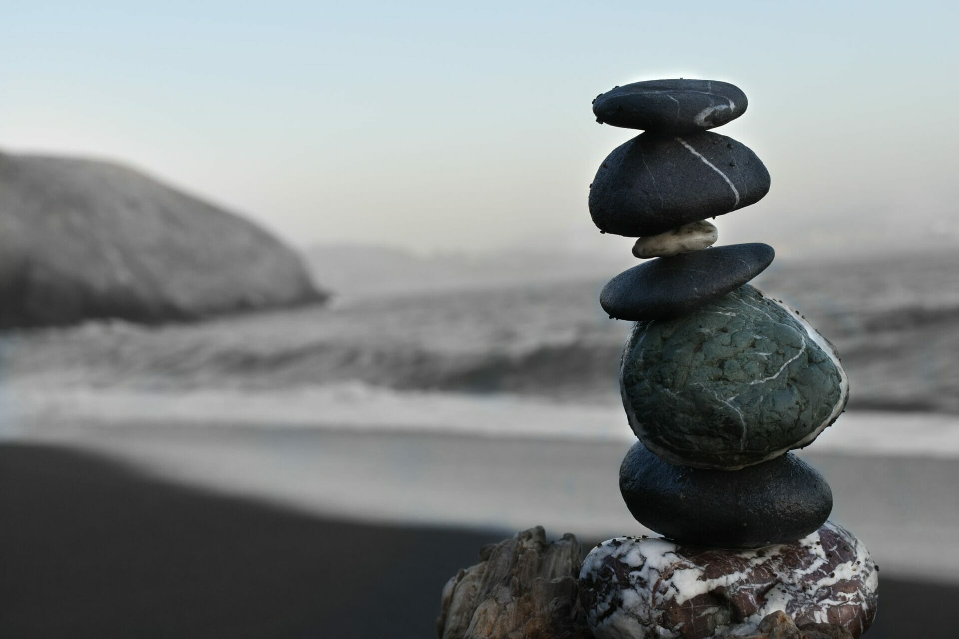 Formation leadership meditation neurosciences