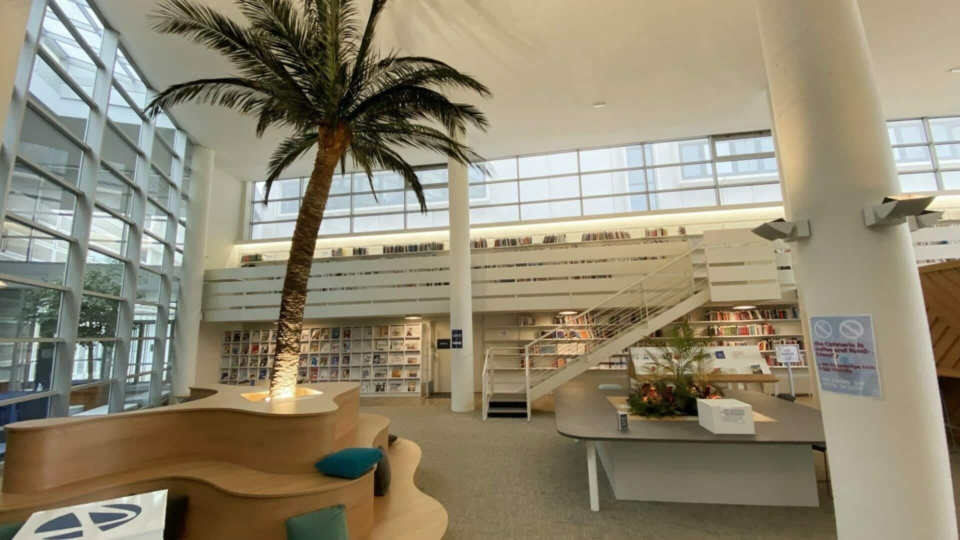 Audencia échanges international