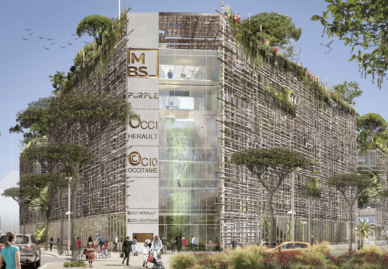 MBS ECRICOME Tremplin 2