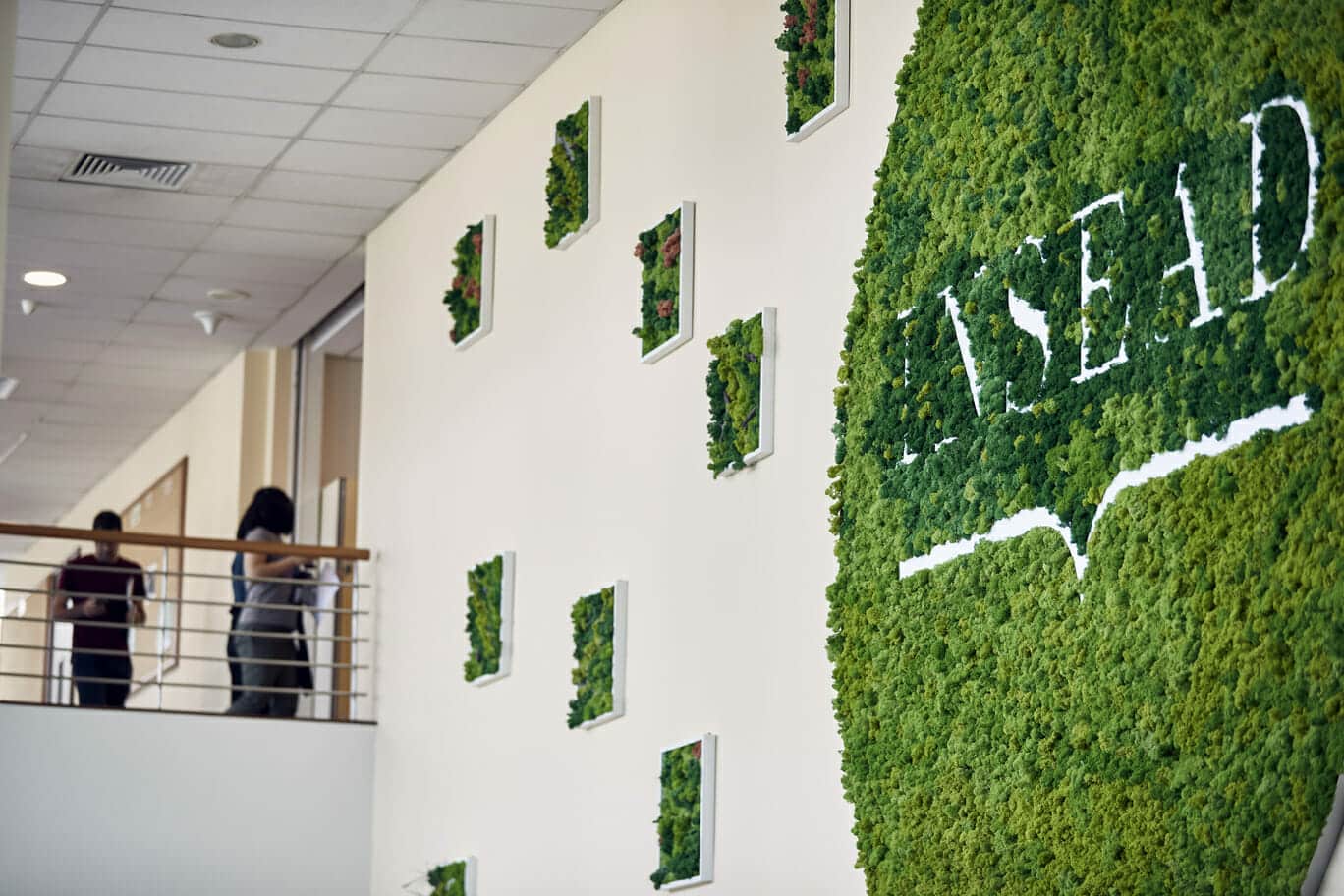 INSEAD Master in Management