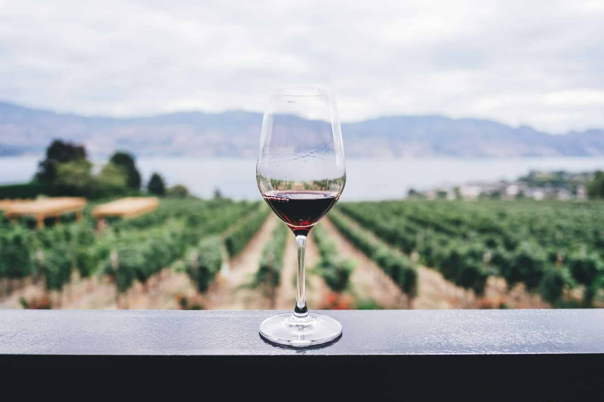 MSc in Sustainable Wine Tourism & Gastronomy