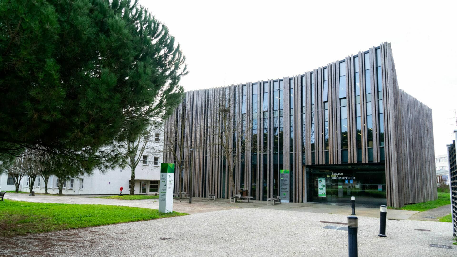 Bordeaux Sciences Agro Bachelor Cognac