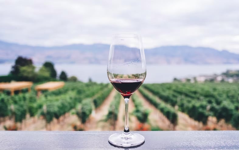 Master spécialisé vin et spiritueux