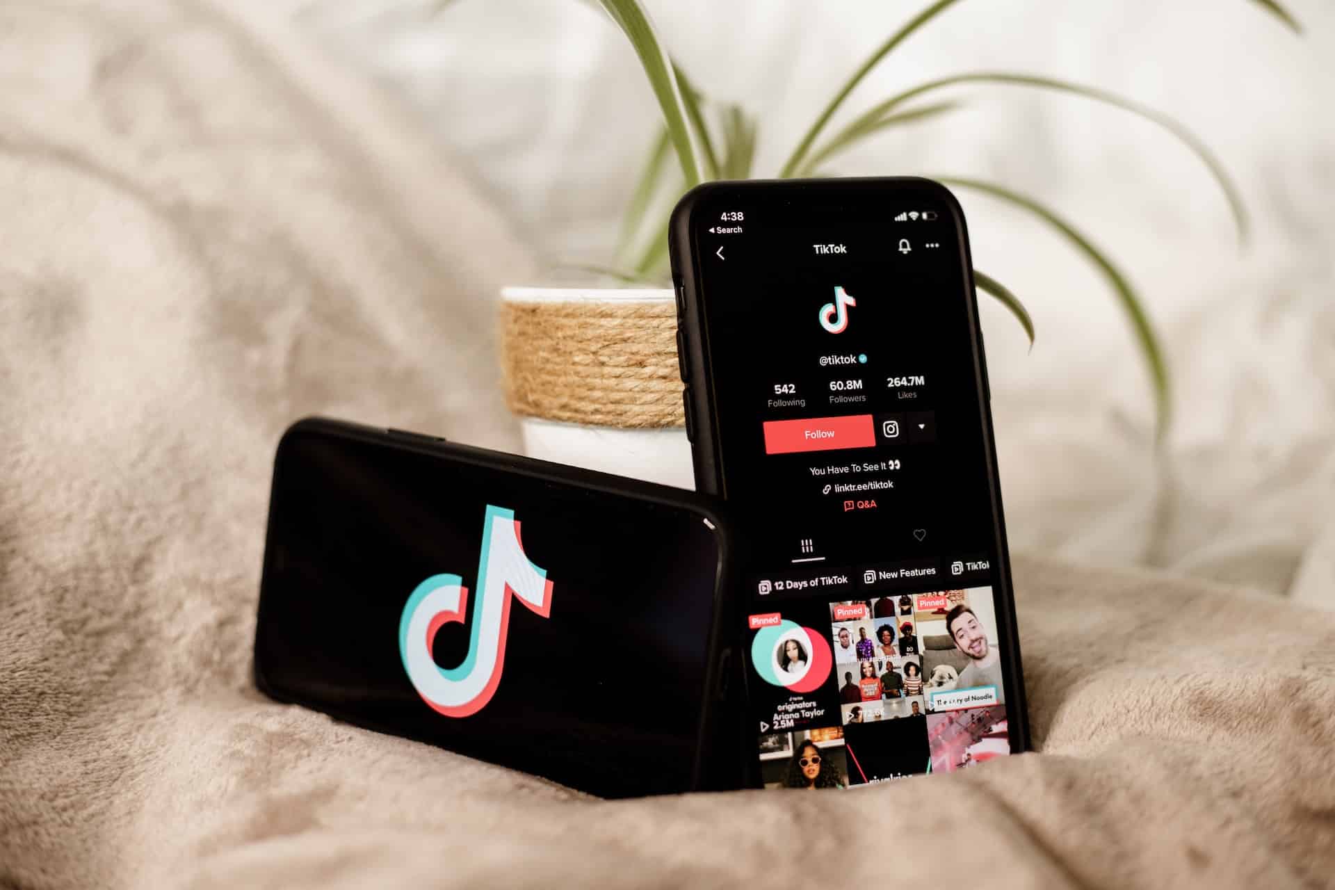 TikTok dangers influenceurs finances personnelles