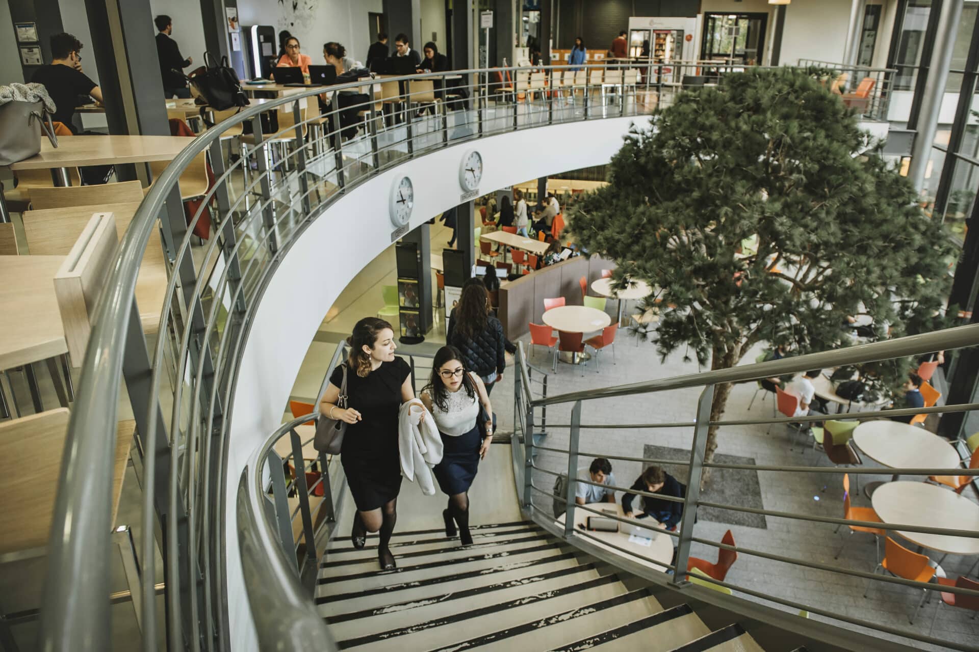 ESSEC Master in Management un an