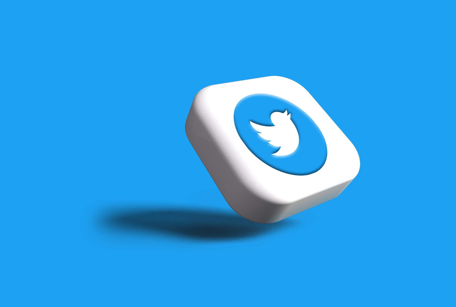 Twitter Elon Musk projets vine abonnement