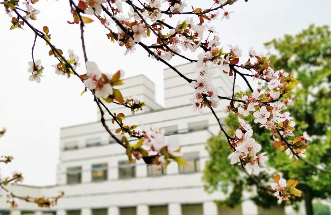 Fondation CEIBS © Instagram / @ ceibs_official_site