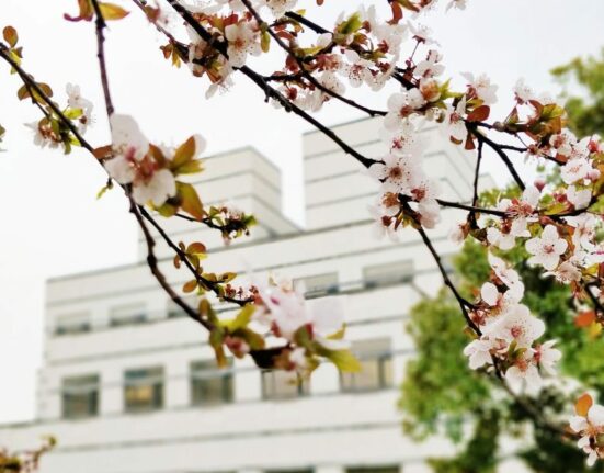 Fondation CEIBS © Instagram / @ ceibs_official_site