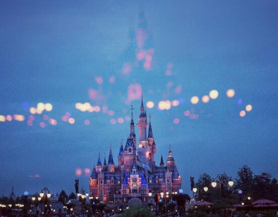 Disney studios pertes
